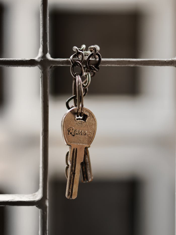 A detailed shot of metal keys hanging on a wire grid with soft focus background.